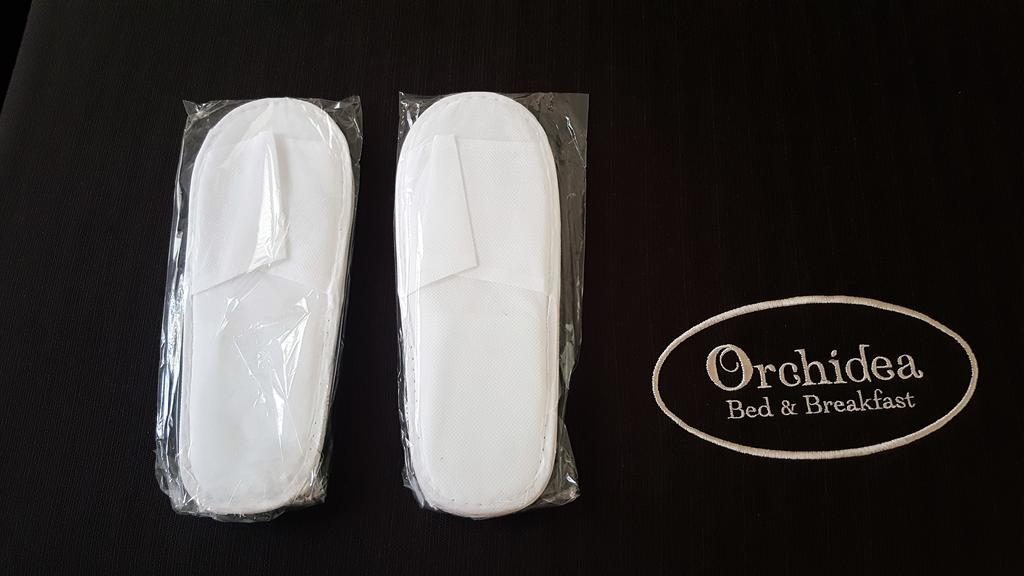Orchidea Rooms & Suites チヴィタノーヴァ・マルケ エクステリア 写真